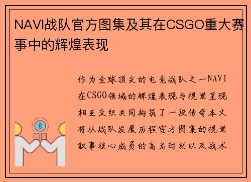 NAVI战队官方图集及其在CSGO重大赛事中的辉煌表现